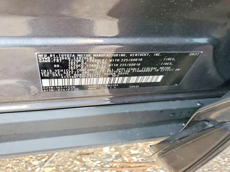 2023 TOYOTA RAV4 SE  