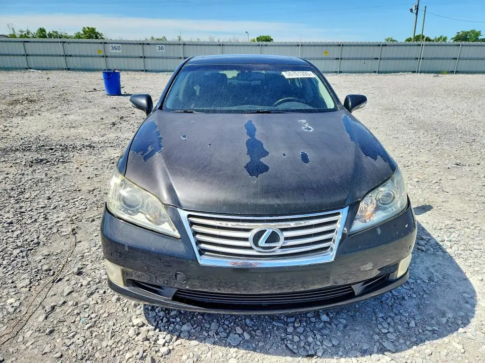 2010 LEXUS ES 350  
