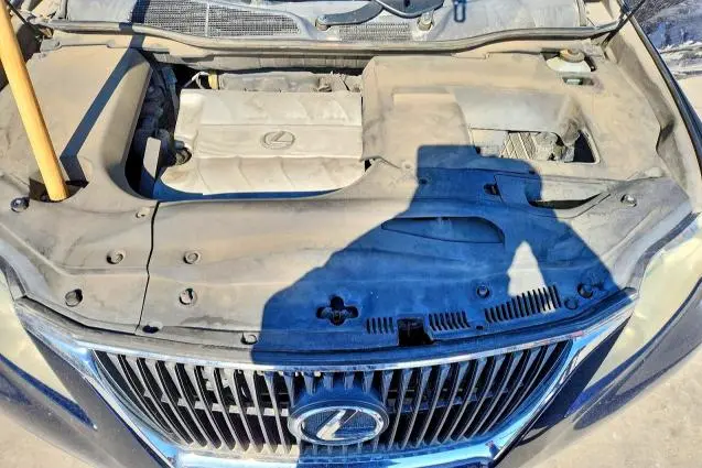 2010 LEXUS RX 350  