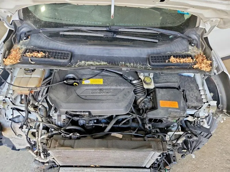 2015 FORD ESCAPE SE  