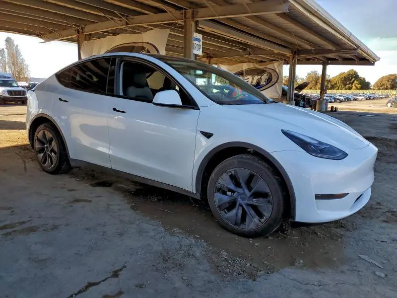 2025 TESLA MODEL Y   