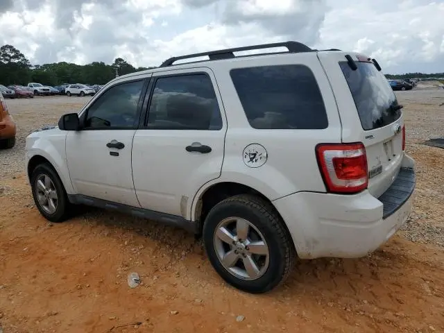 2010 FORD ESCAPE XLT