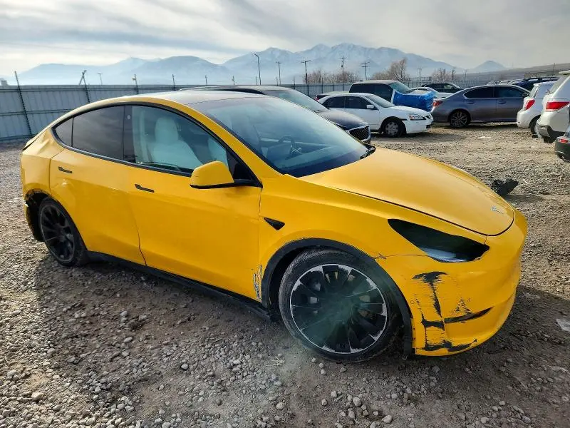 2021 TESLA MODEL Y   