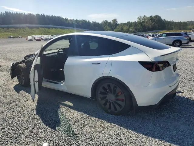 2025 TESLA MODEL Y   