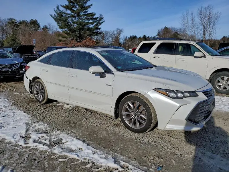 2019 TOYOTA AVALON XLE  