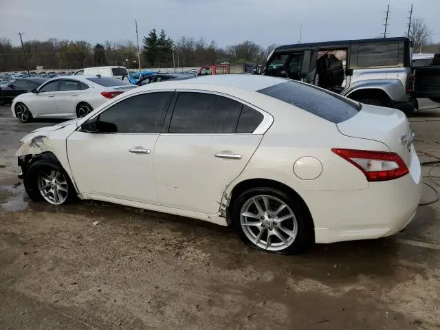 2010 NISSAN MAXIMA S  
