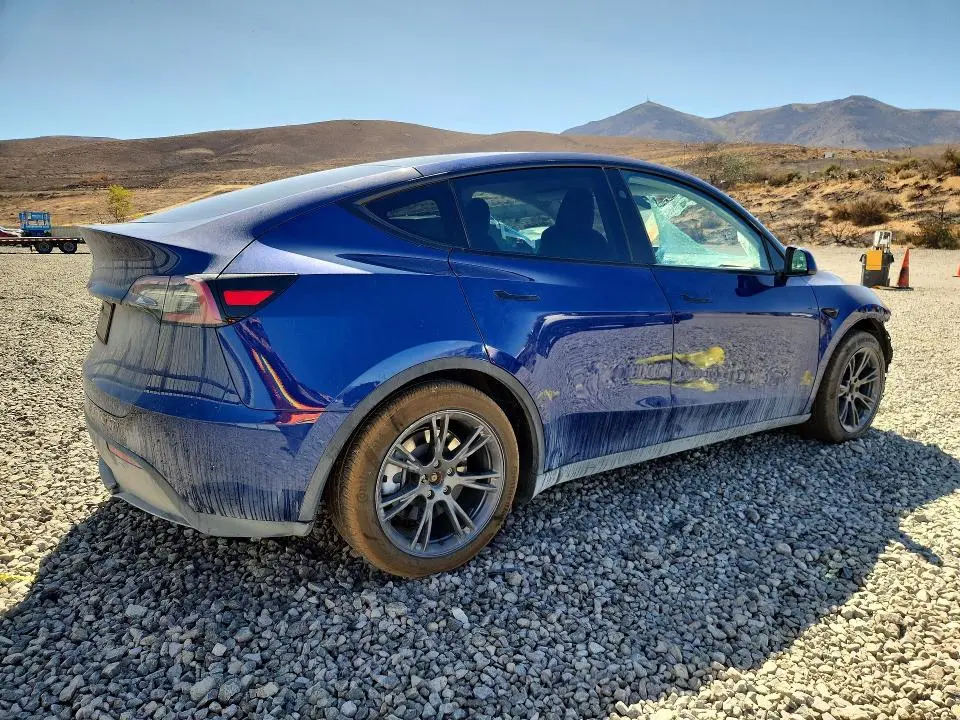 2025 TESLA MODEL Y   