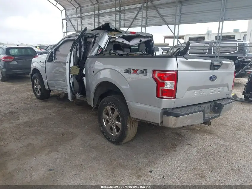 2019 FORD F-150 XLT
