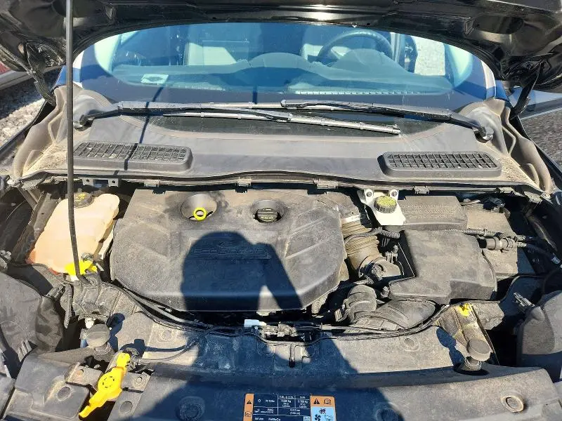 2014 FORD ESCAPE SE  