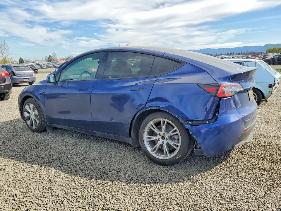 2021 TESLA MODEL Y   