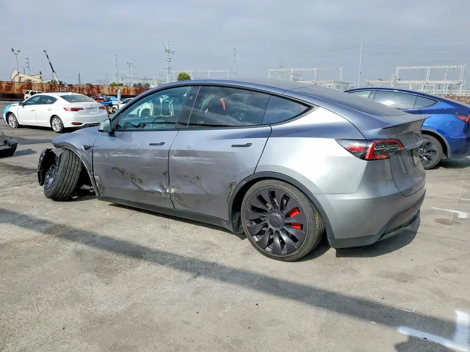 2024 TESLA MODEL Y   