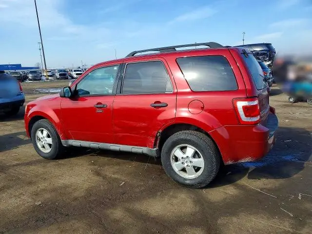 2010 FORD ESCAPE XLT  