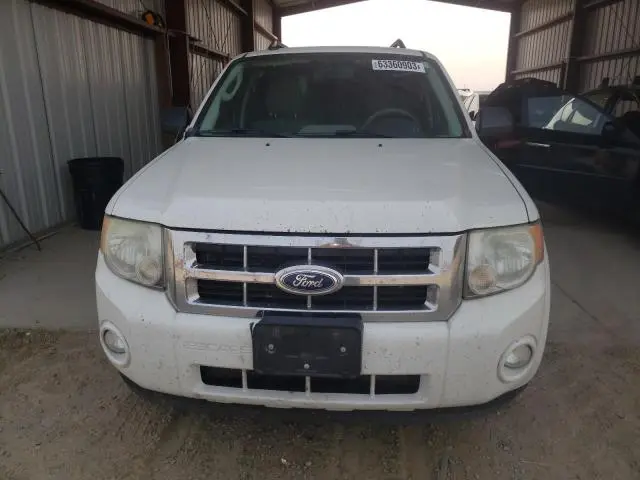 2011 FORD ESCAPE XLT  