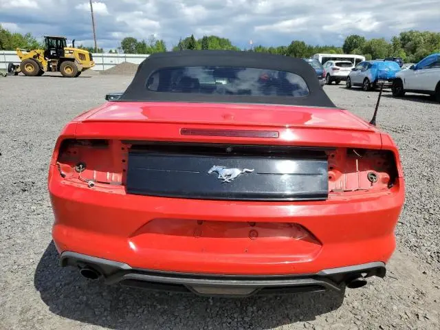 2019 FORD MUSTANG   
