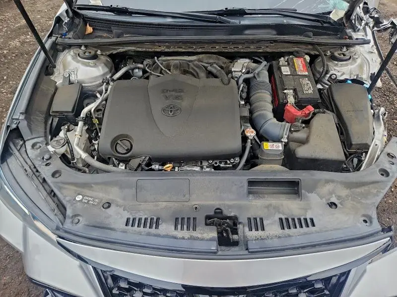 2019 TOYOTA AVALON XLE  