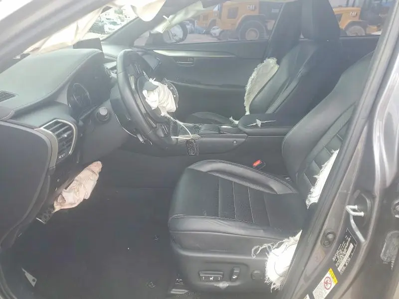 2019 LEXUS NX 300 F SPORT  