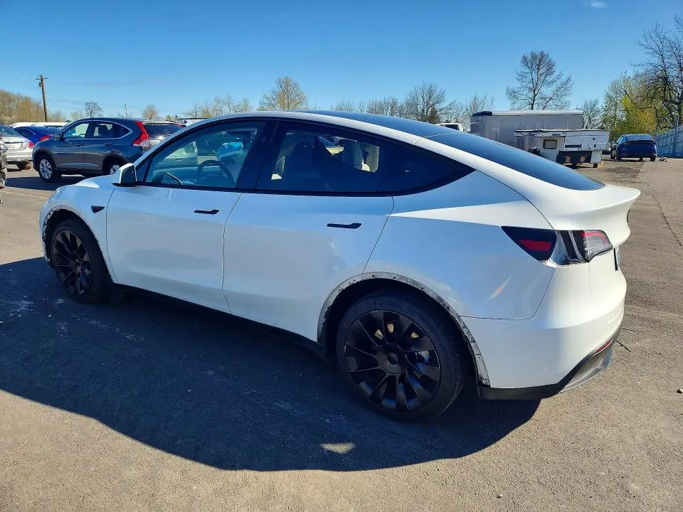2024 TESLA MODEL Y   