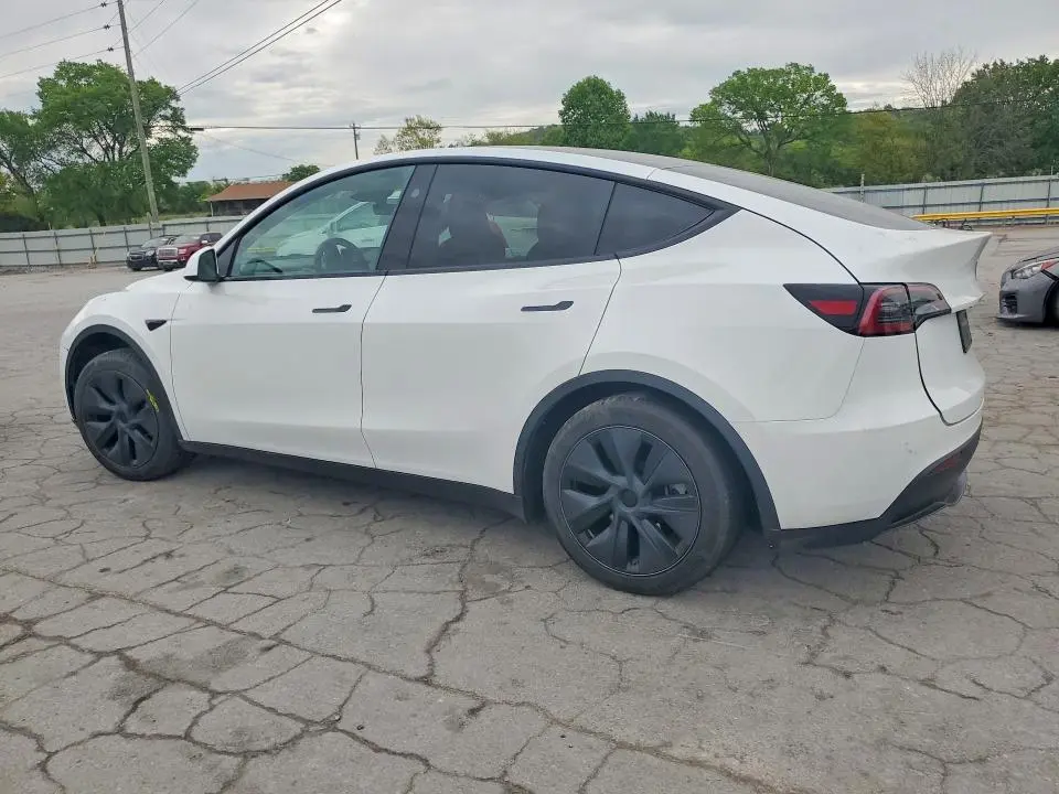 2025 TESLA MODEL Y   
