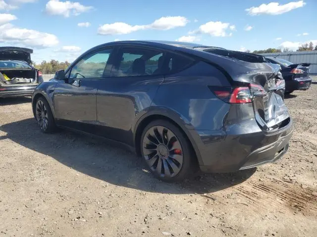 2025 TESLA MODEL Y   