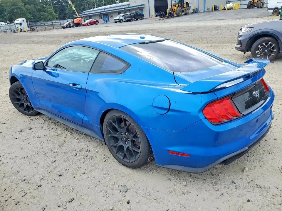 2019 FORD MUSTANG   