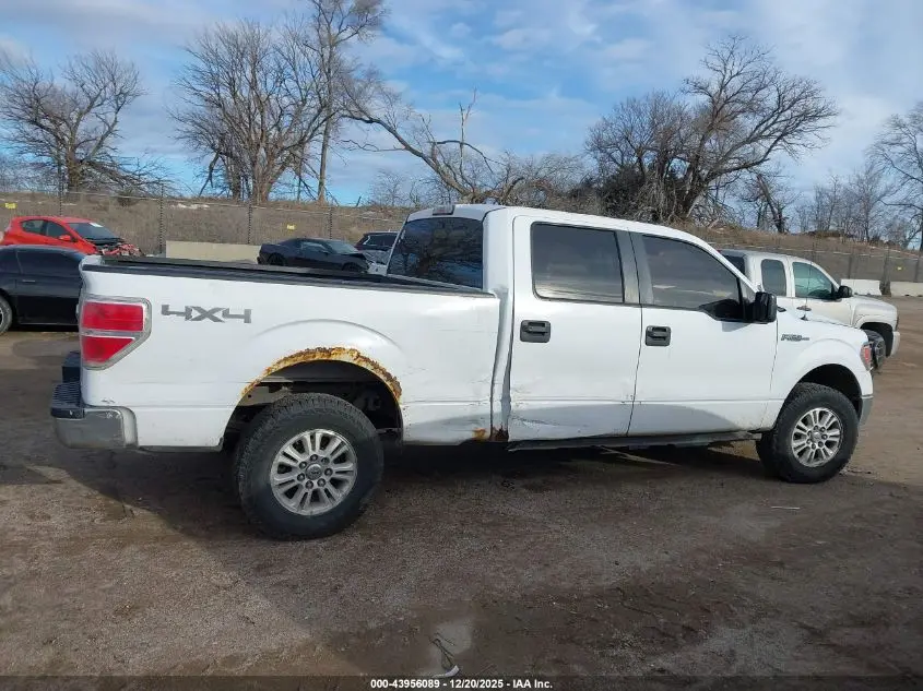 2014 FORD F-150 XLT