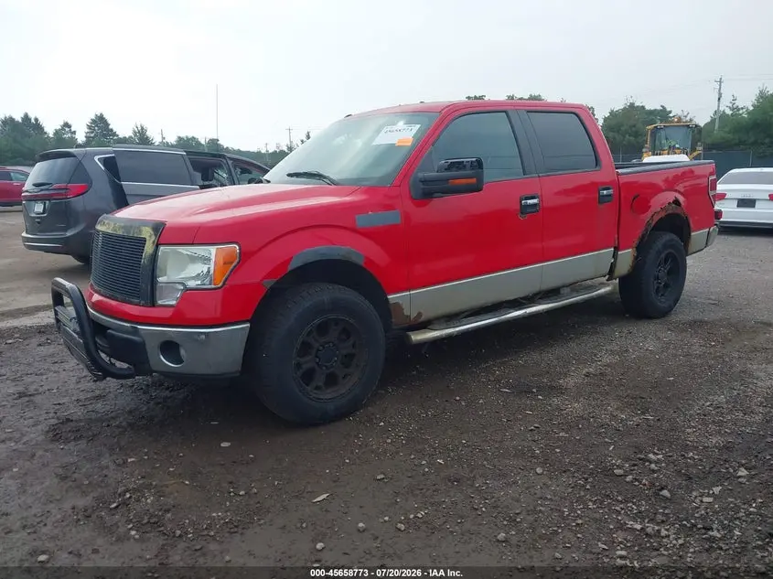 2011 FORD F-150 XLT
