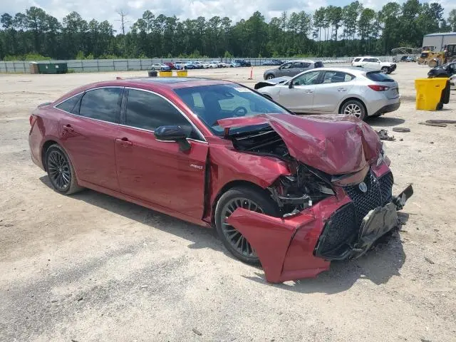 2019 TOYOTA AVALON XLE  