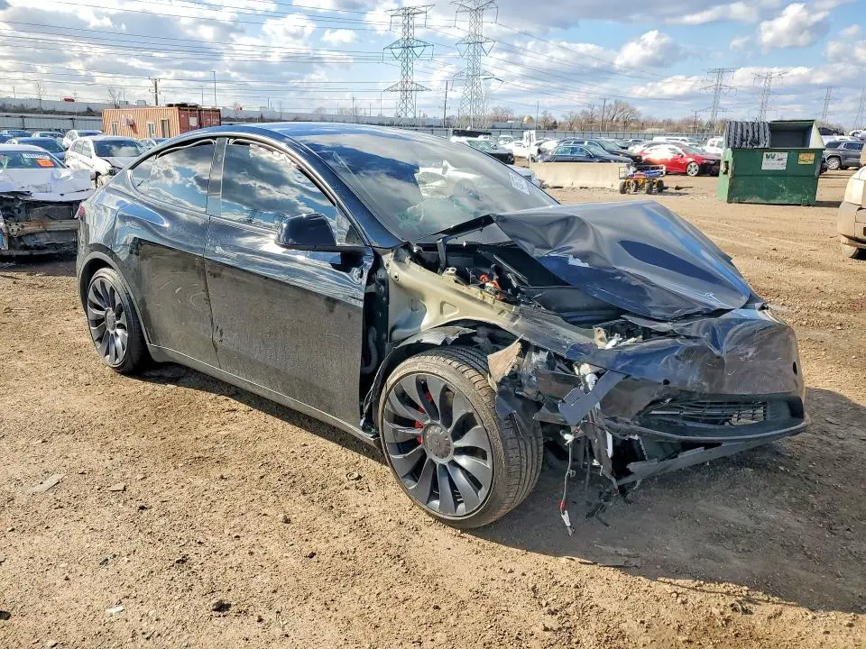 2024 TESLA MODEL Y   