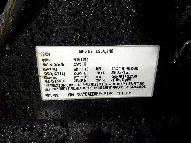 2024 TESLA MODEL Y   