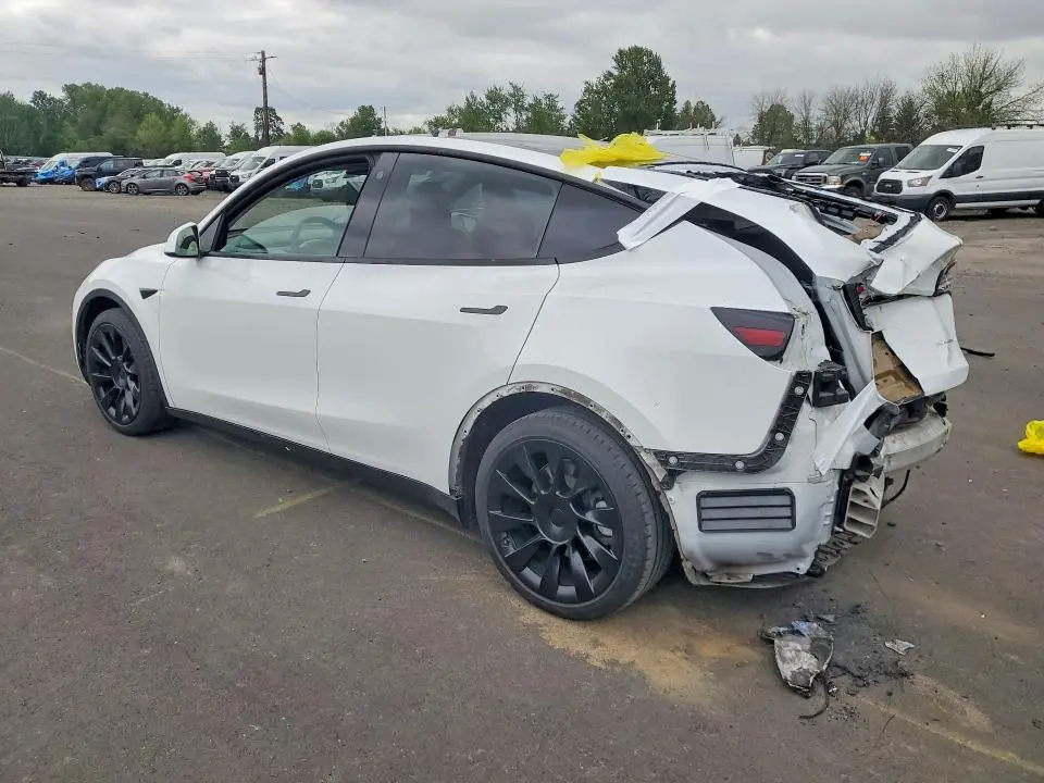 2021 TESLA MODEL Y   