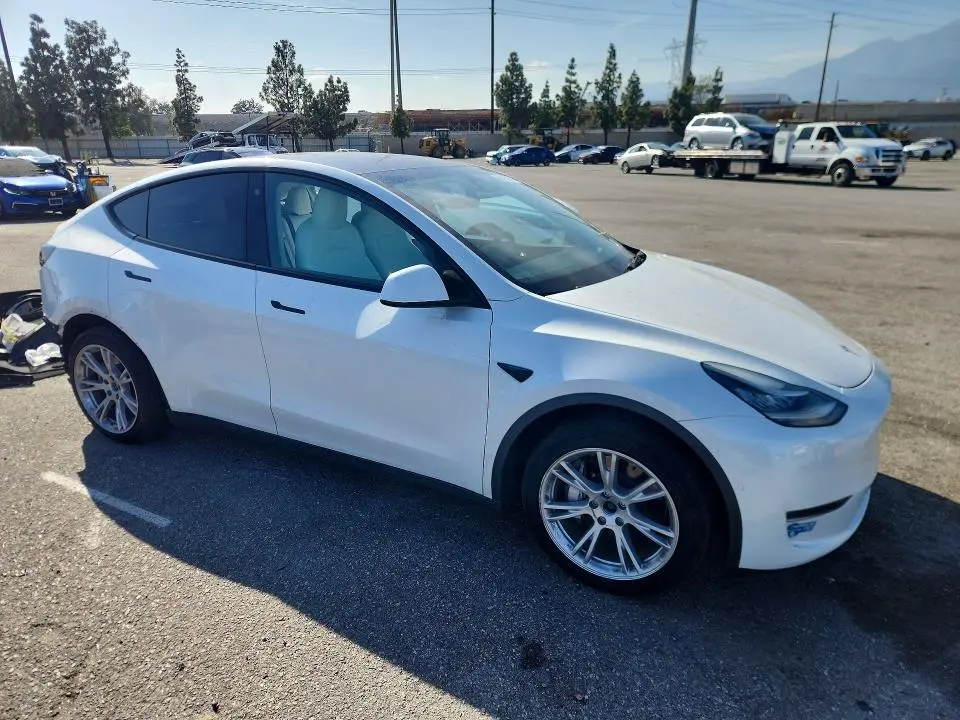 2021 TESLA MODEL Y   