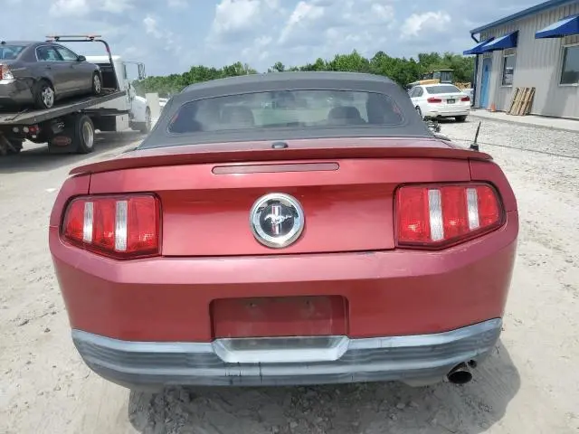 2010 FORD MUSTANG 