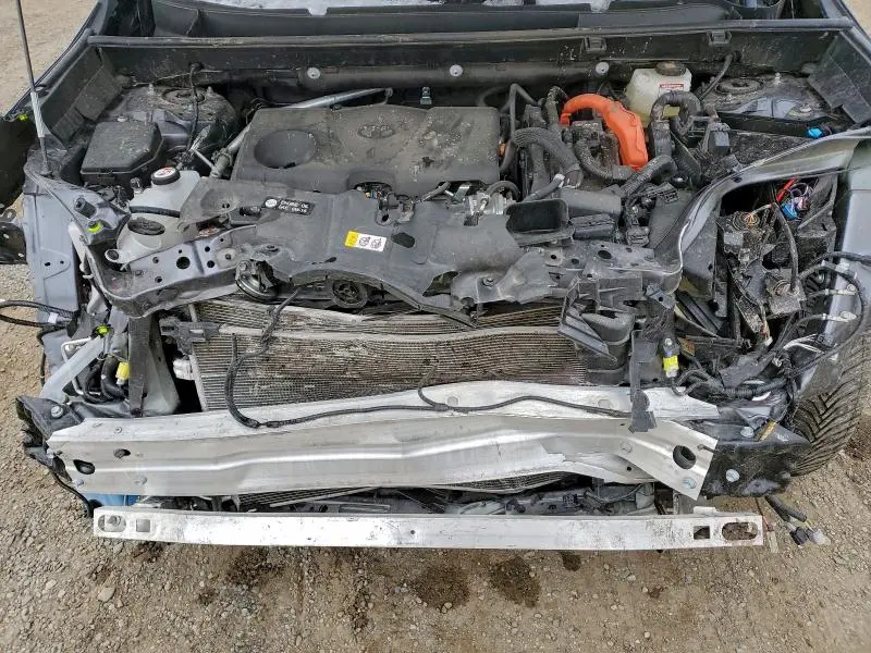 2025 TOYOTA RAV4 XSE  