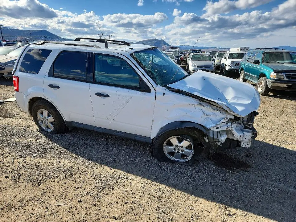 2010 FORD ESCAPE XLT  