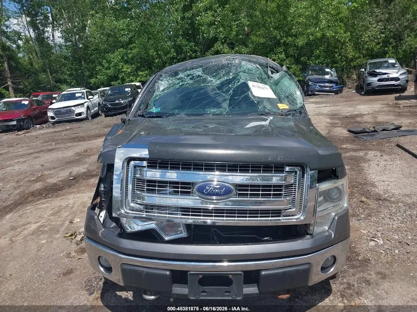 2014 FORD F-150 XLT
