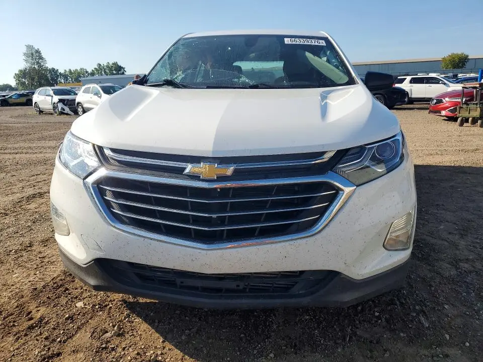 2019 CHEVROLET EQUINOX LS  