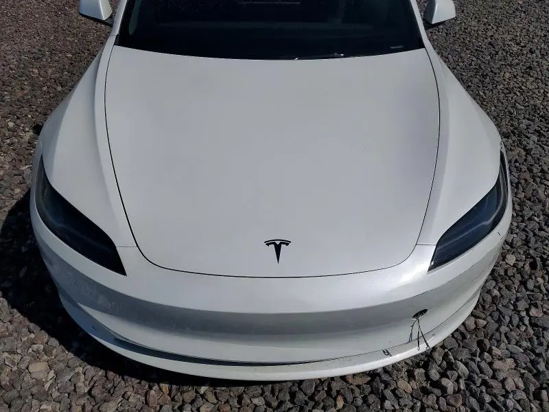 2025 TESLA MODEL 3   