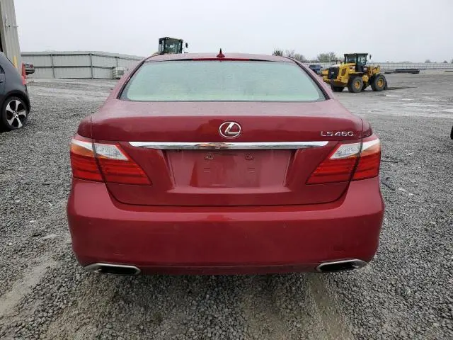 2011 LEXUS LS 460  