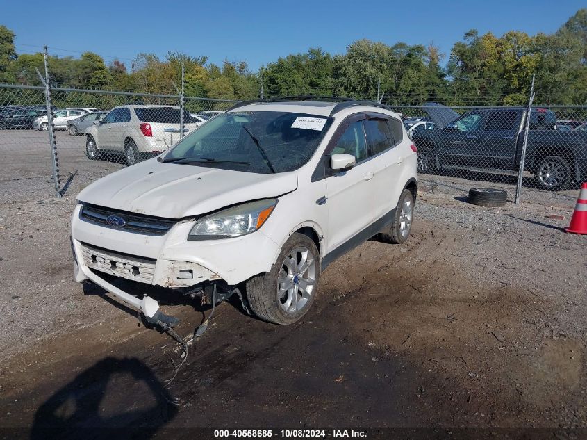 2013 FORD ESCAPE SEL