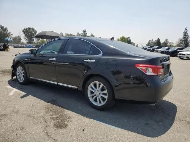 2010 LEXUS ES 350  
