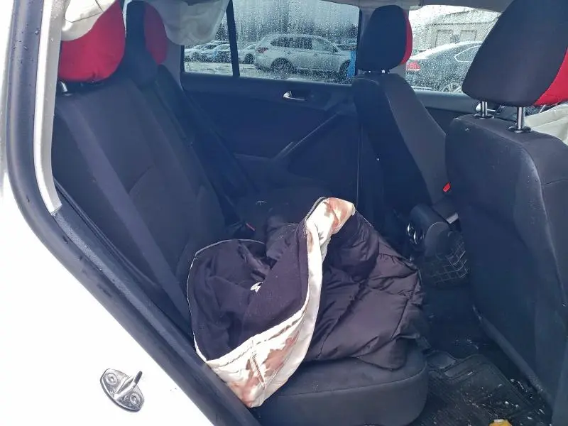 2015 VOLKSWAGEN TIGUAN S  