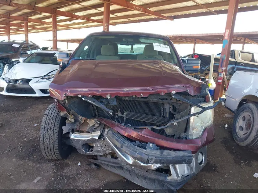 2010 FORD F-150 FX2 SPORT/HARLEY-DAVIDSON/KING RANCH/LARIAT/PLATINUM/XL/XLT