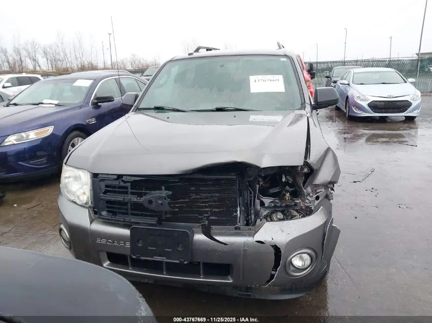 2010 FORD ESCAPE XLT