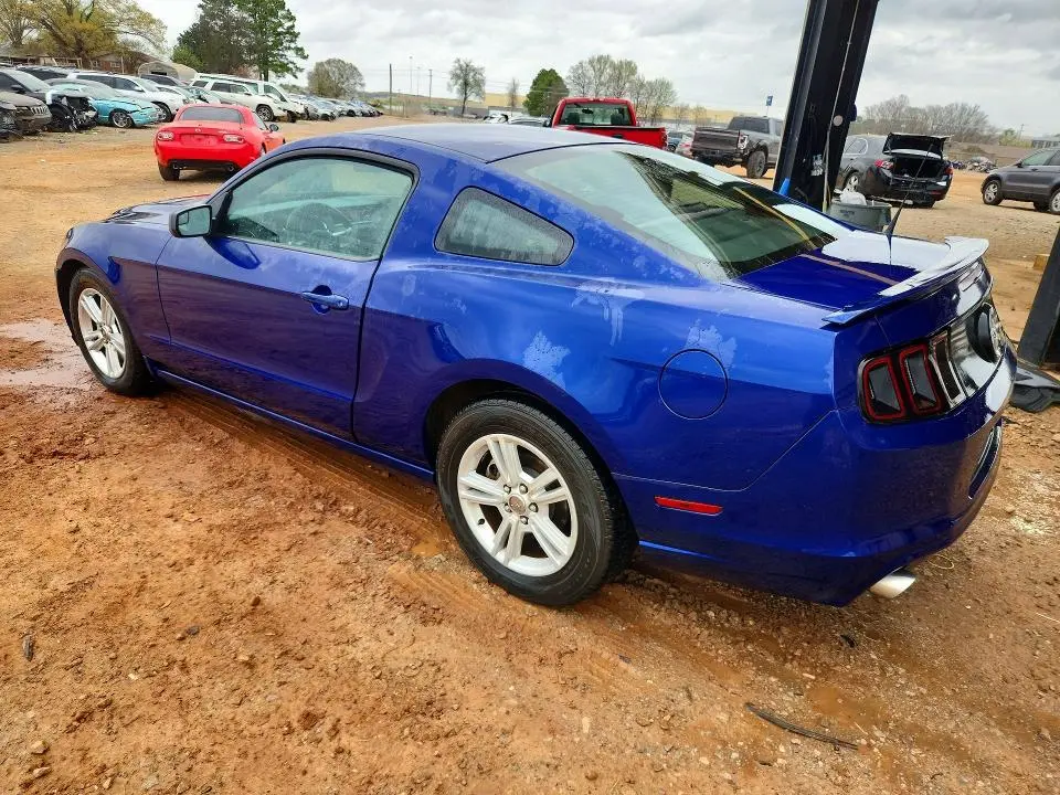 2013 FORD MUSTANG   