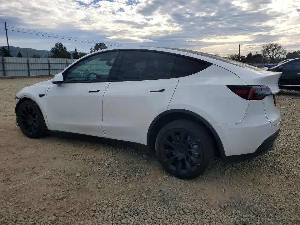 2022 TESLA MODEL Y   