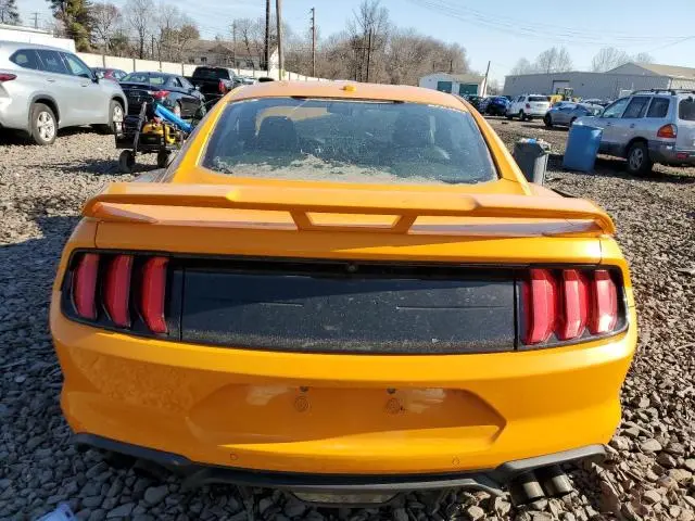 2019 FORD MUSTANG   