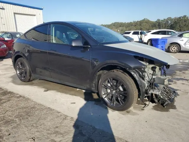 2025 TESLA MODEL Y   