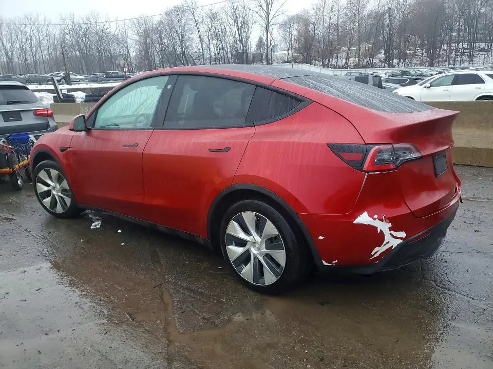 2021 TESLA MODEL Y   