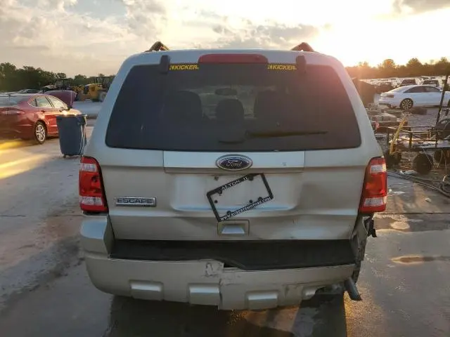 2011 FORD ESCAPE XLT  
