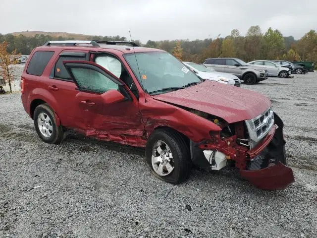2011 FORD ESCAPE LIMITED  